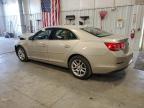 Lot #3024970401 2014 CHEVROLET MALIBU 1LT