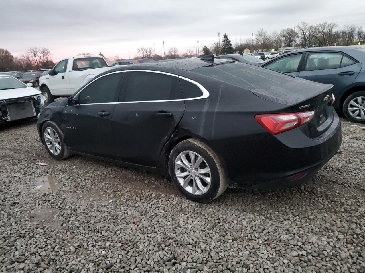 Lot #3029351680 2019 CHEVROLET MALIBU LT