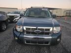 Lot #3023799904 2011 FORD ESCAPE LIM