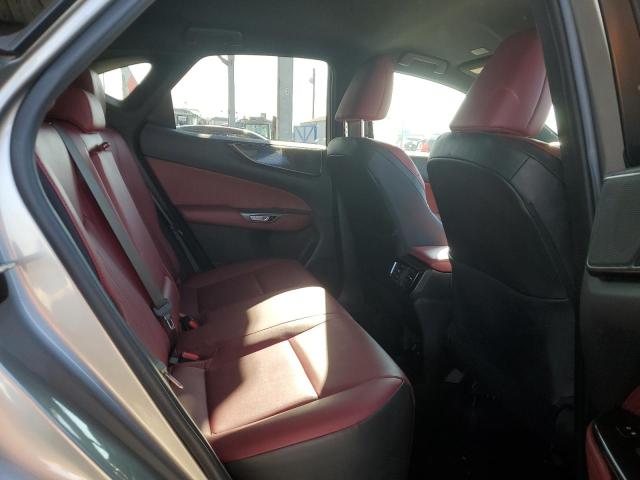2023 LEXUS NX 250 2T2ADCAZ8PC003490