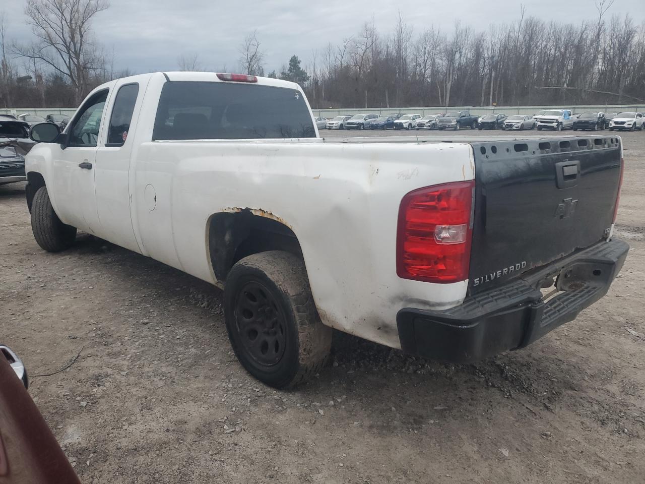 Lot #3005591293 2008 CHEVROLET SILVERADO