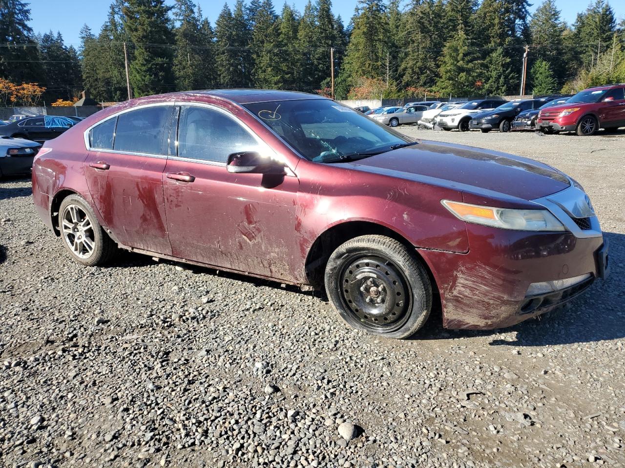 Lot #3036983738 2010 ACURA TL