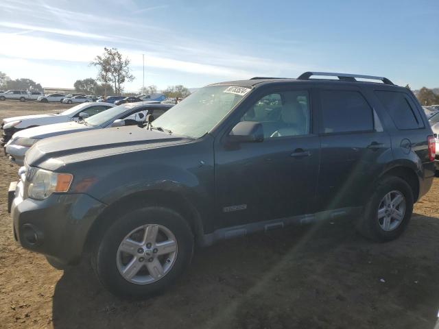 2008 FORD ESCAPE HEV #3037133491