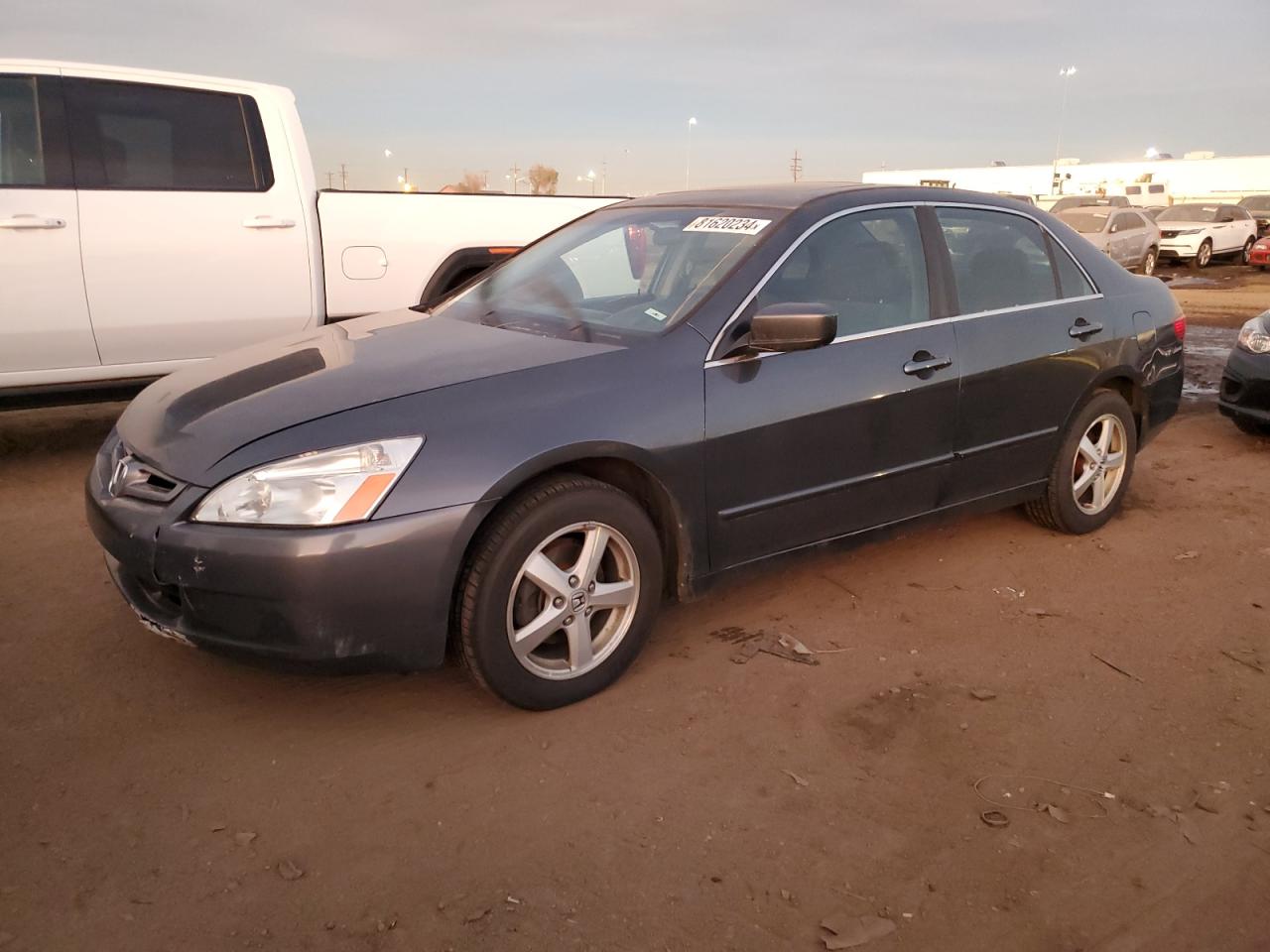 Lot #2996191391 2005 HONDA ACCORD EX