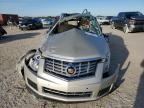 CADILLAC SRX LUXURY photo