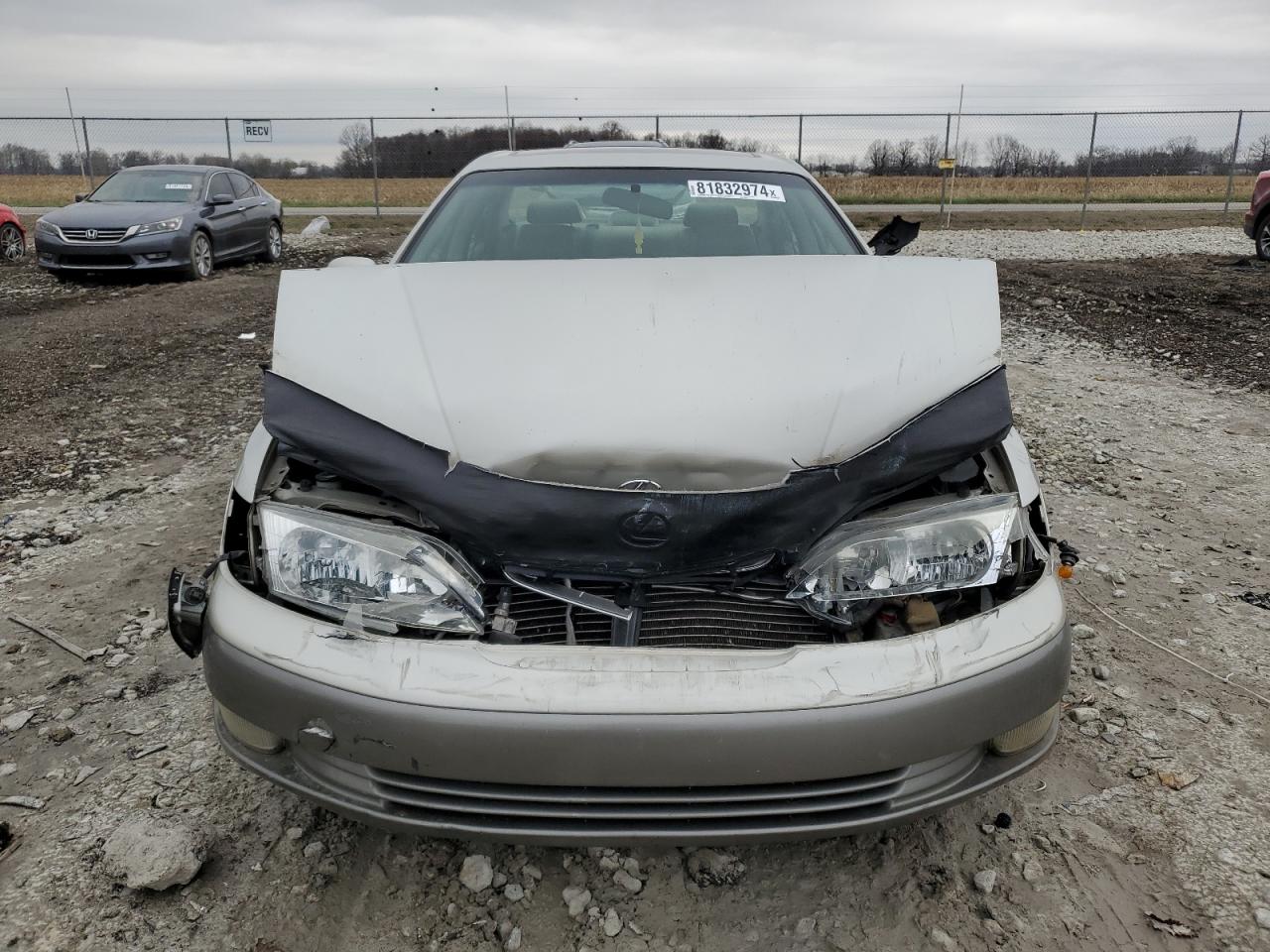 Lot #3024277826 1999 LEXUS ES 300