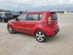 KIA SOUL + photo