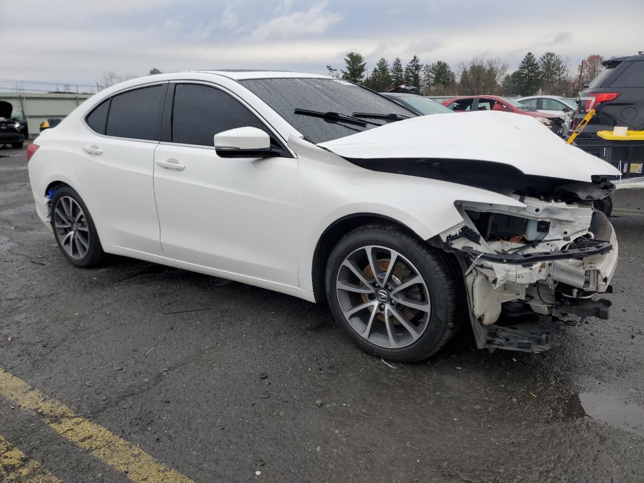 Lot #3037576034 2016 ACURA TLX TECH