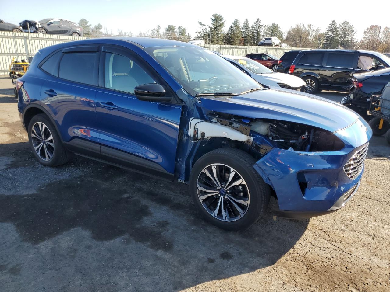 Lot #2986494237 2022 FORD ESCAPE SE