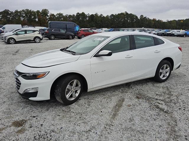 VIN 1G1ZD5ST5RF126891 2024 Chevrolet Malibu, LT no.1