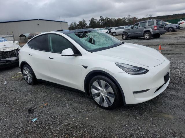 2021 TESLA MODEL Y - 5YJYGAEE3MF145484