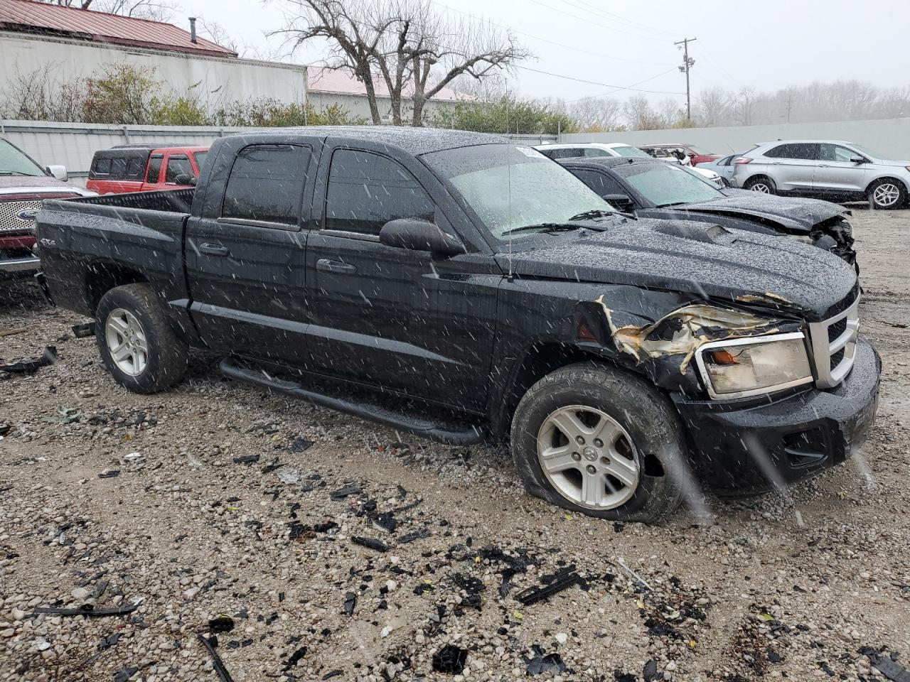 Lot #3026027964 2011 DODGE DAKOTA SLT