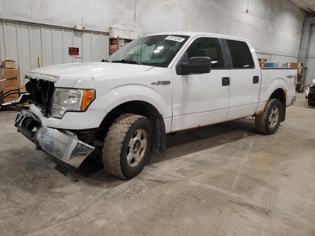 VIN 1FTFW1EF5DFC14531 2013 FORD F-150 no.1