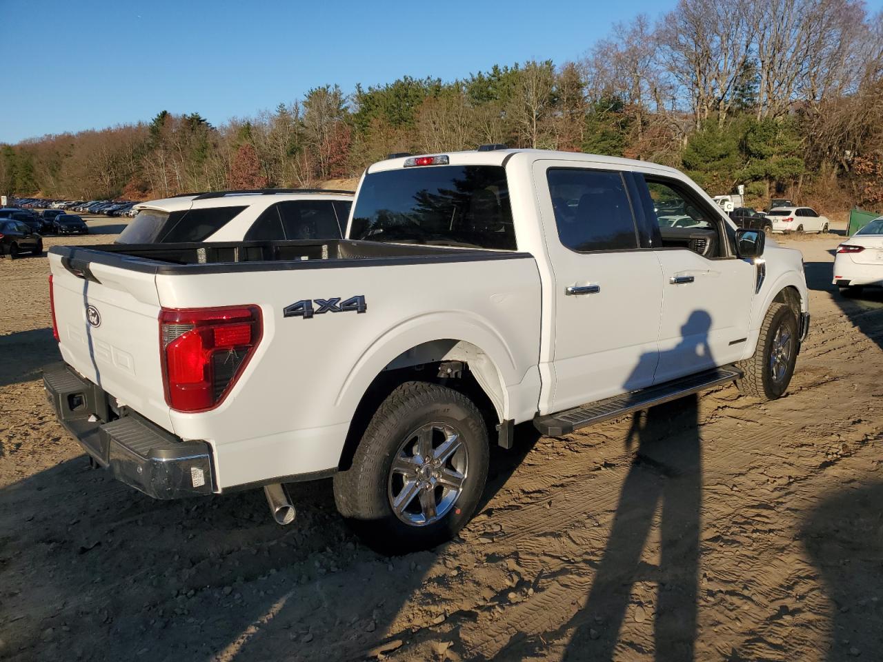 Lot #2995777494 2024 FORD F150 XLT