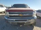 Lot #3034567748 2013 CHEVROLET SILVERADO