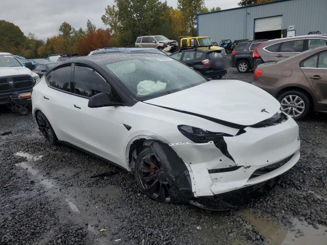 2022 TESLA MODEL Y - 7SAYGDEF6NF493472