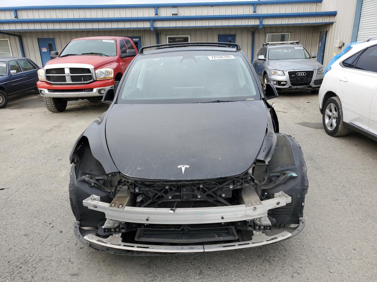 Lot #2989373671 2021 TESLA MODEL Y