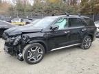 2024 HYUNDAI PALISADE L - KM8R54GE9RU680063