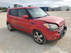 KIA SOUL + photo