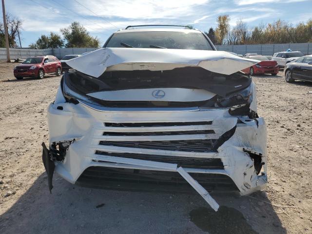 2024 LEXUS TX 350 BAS 5TDAAAB64RS007004