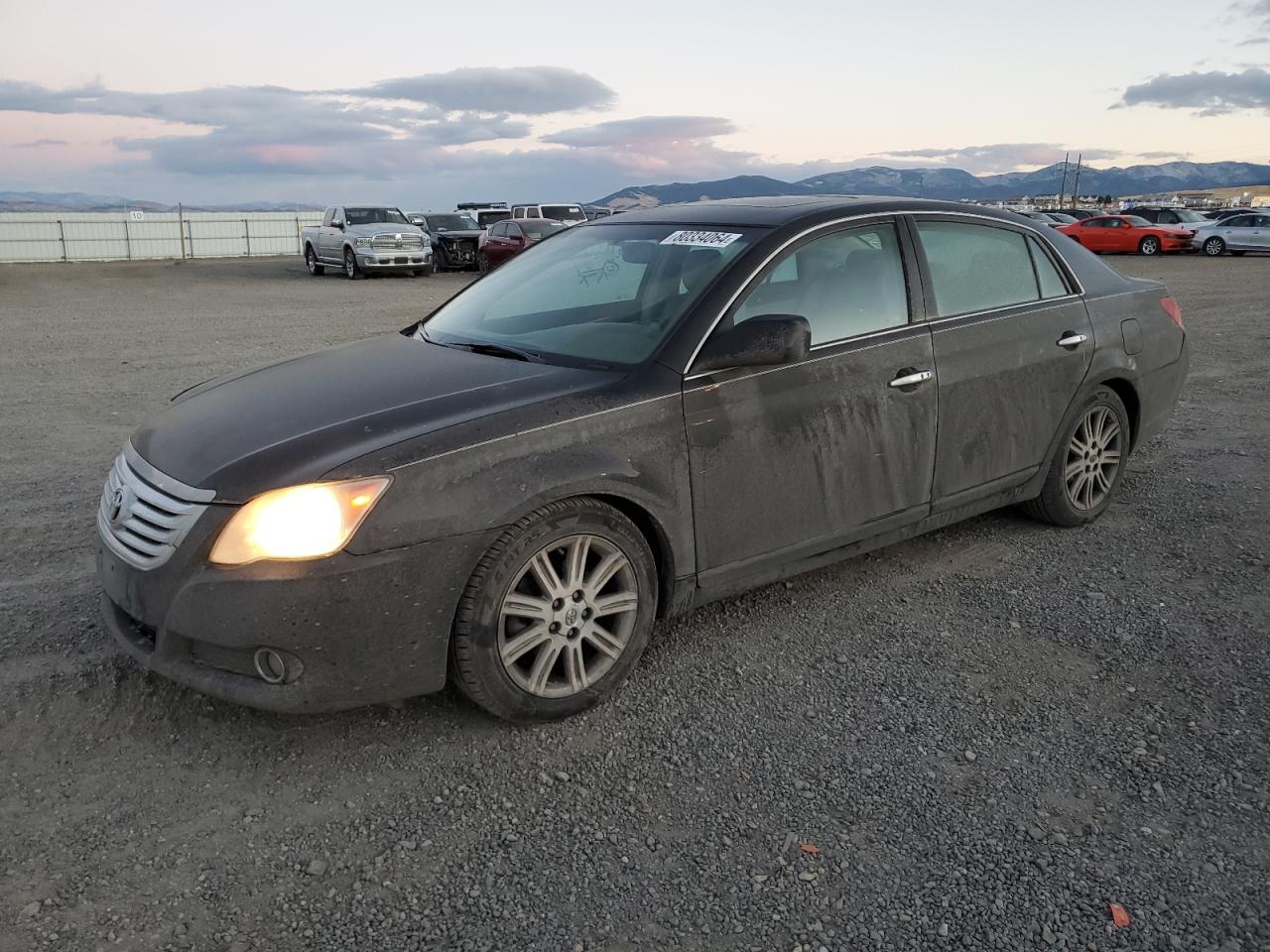 Lot #2979608573 2008 TOYOTA AVALON XL