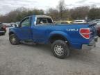 FORD F150 photo