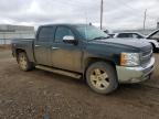 Lot #3024317030 2013 CHEVROLET SILVERADO