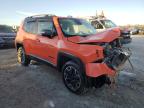 Lot #3023632250 2015 JEEP RENEGADE T