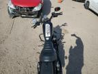 Lot #3024851409 2019 HARLEY-DAVIDSON XL883 N