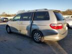 HONDA ODYSSEY EX photo