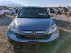 Lot #3006149809 2007 HONDA CR-V EXL