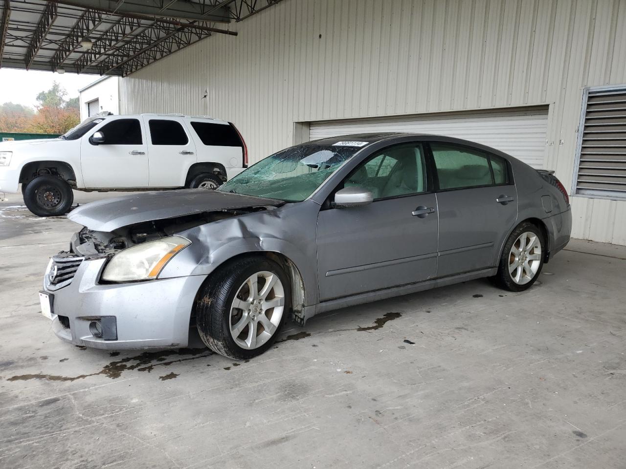 Lot #2974529437 2007 NISSAN MAXIMA SE