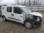 RAM PROMASTER снимка