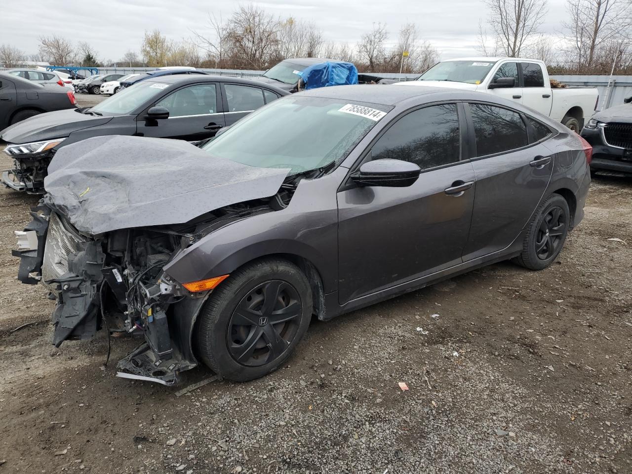 Honda Civic lx 2017