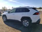 TOYOTA RAV4 LE photo