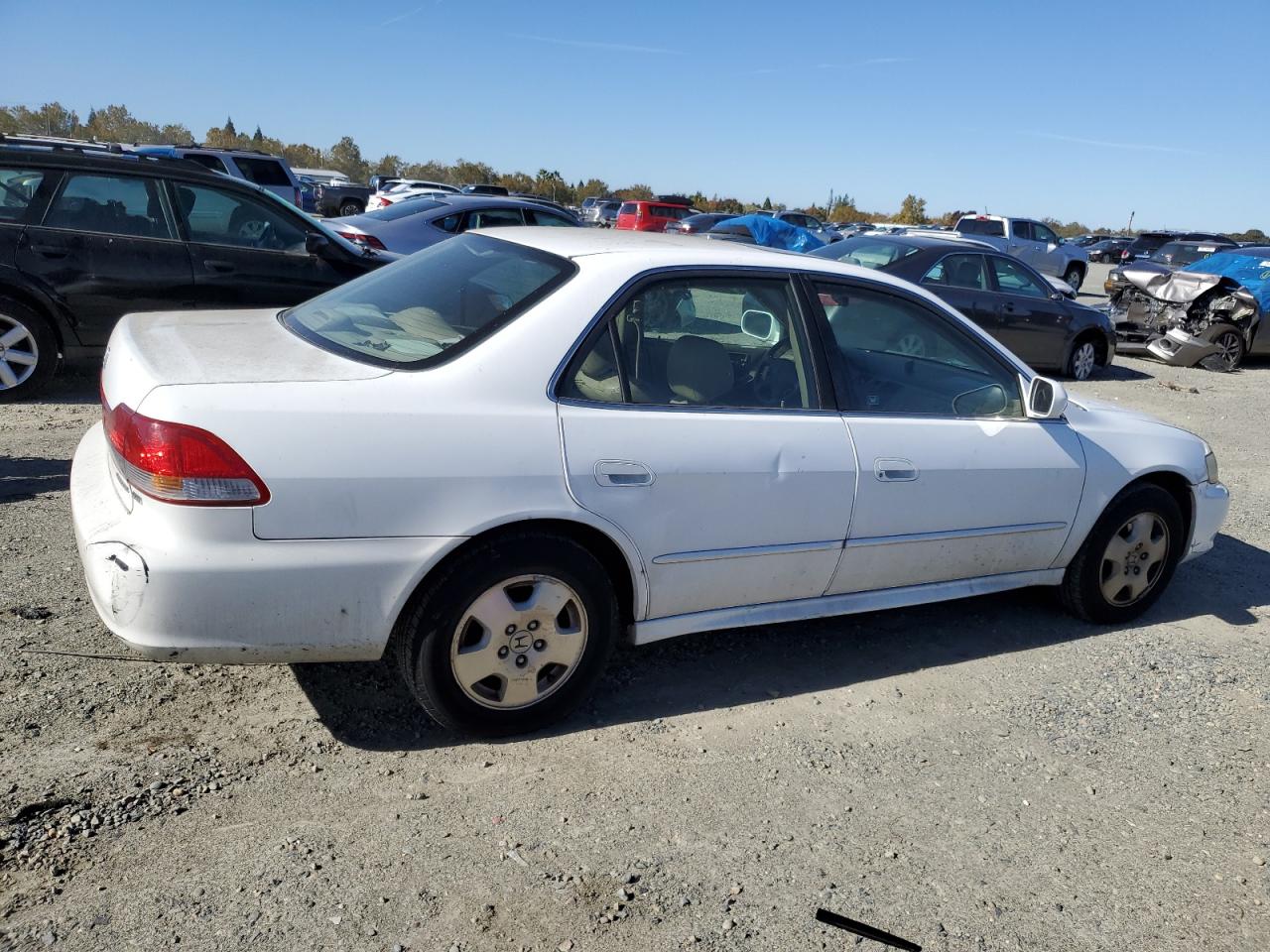 Lot #2970211337 2002 HONDA ACCORD EX