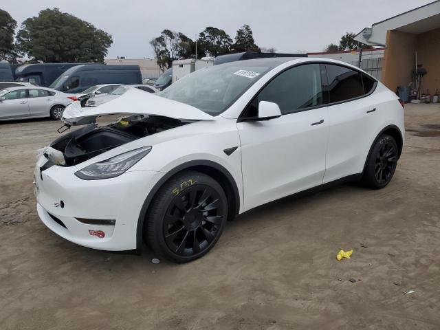 TESLA MODEL Y 2021 white  electric 5YJYGDEE3MF138861 photo #1