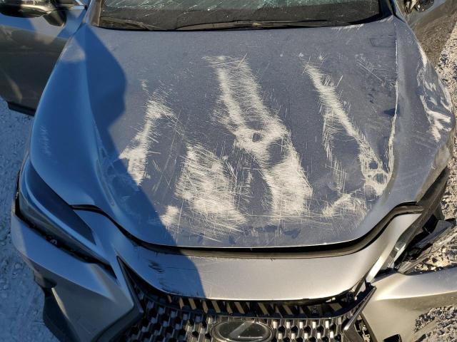 2024 LEXUS NX 250 PRE 2T2GDCAZ6RC009155