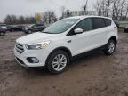 Lot #3020253494 2017 FORD ESCAPE SE