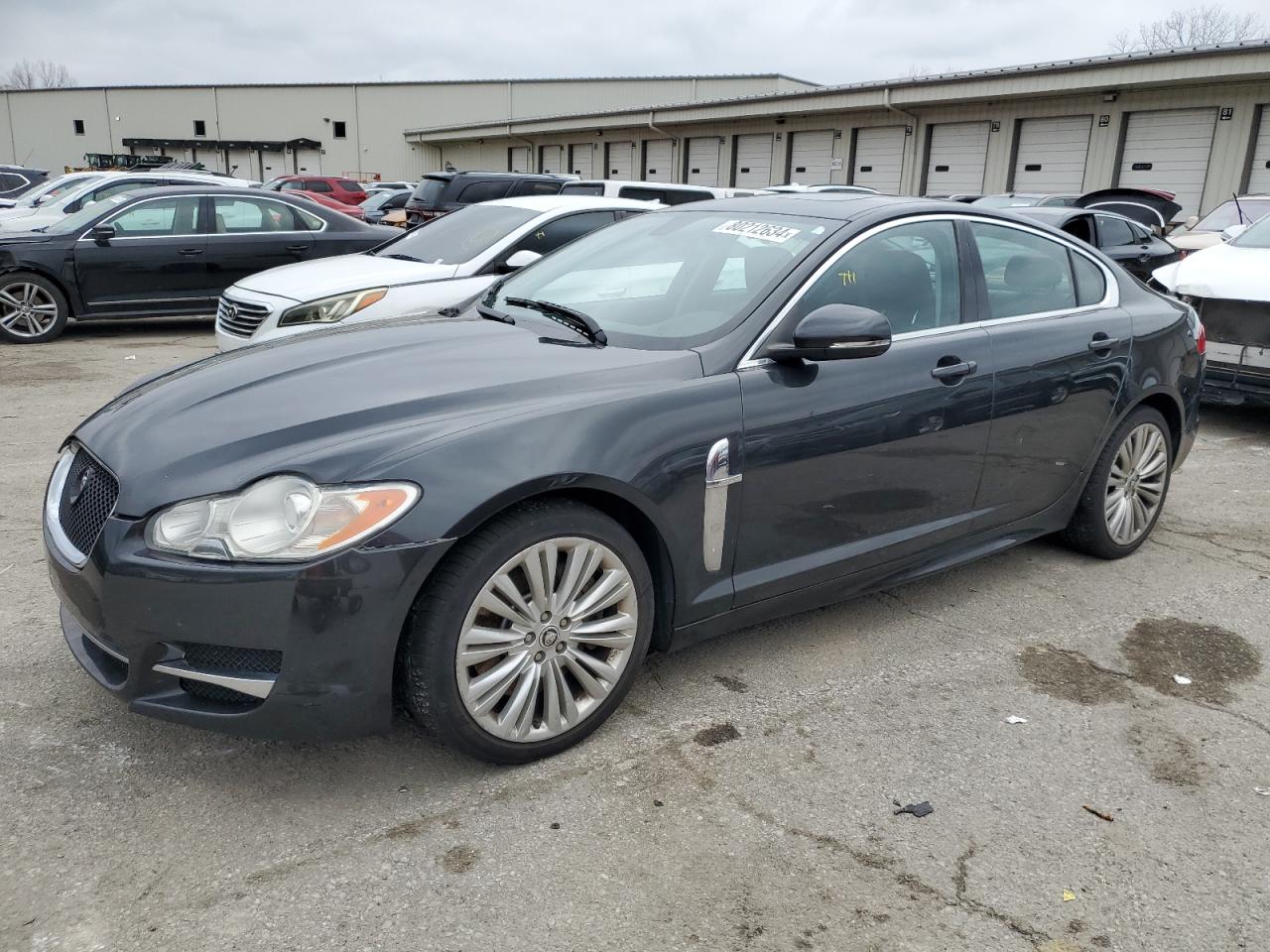 Lot #2979212985 2011 JAGUAR XF