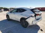 Lot #3004276694 2024 LEXUS NX 250 PRE