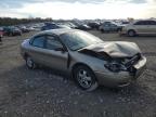 Lot #3025130184 2005 FORD TAURUS SE