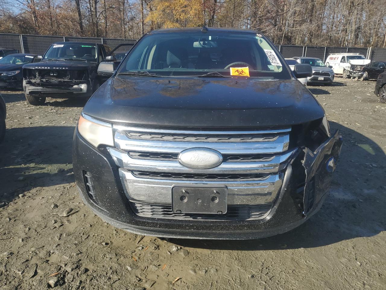 Lot #3023338246 2012 FORD EDGE SE