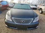 Lot #3025055204 2007 LEXUS LS 460