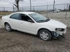 Lot #3023823908 2005 DODGE STRATUS SX