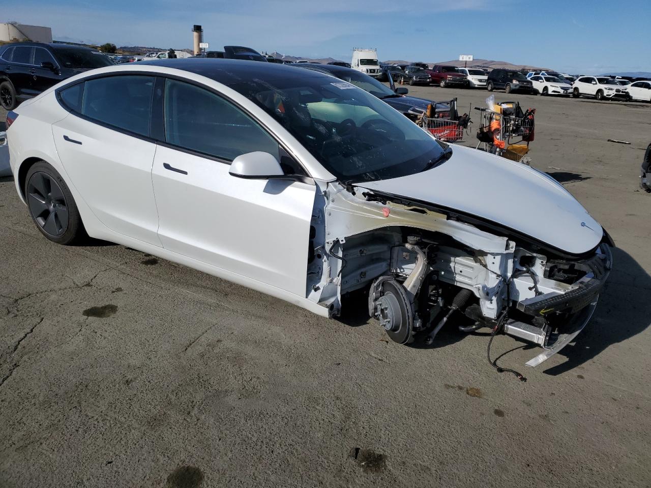 Lot #2991866243 2023 TESLA MODEL 3