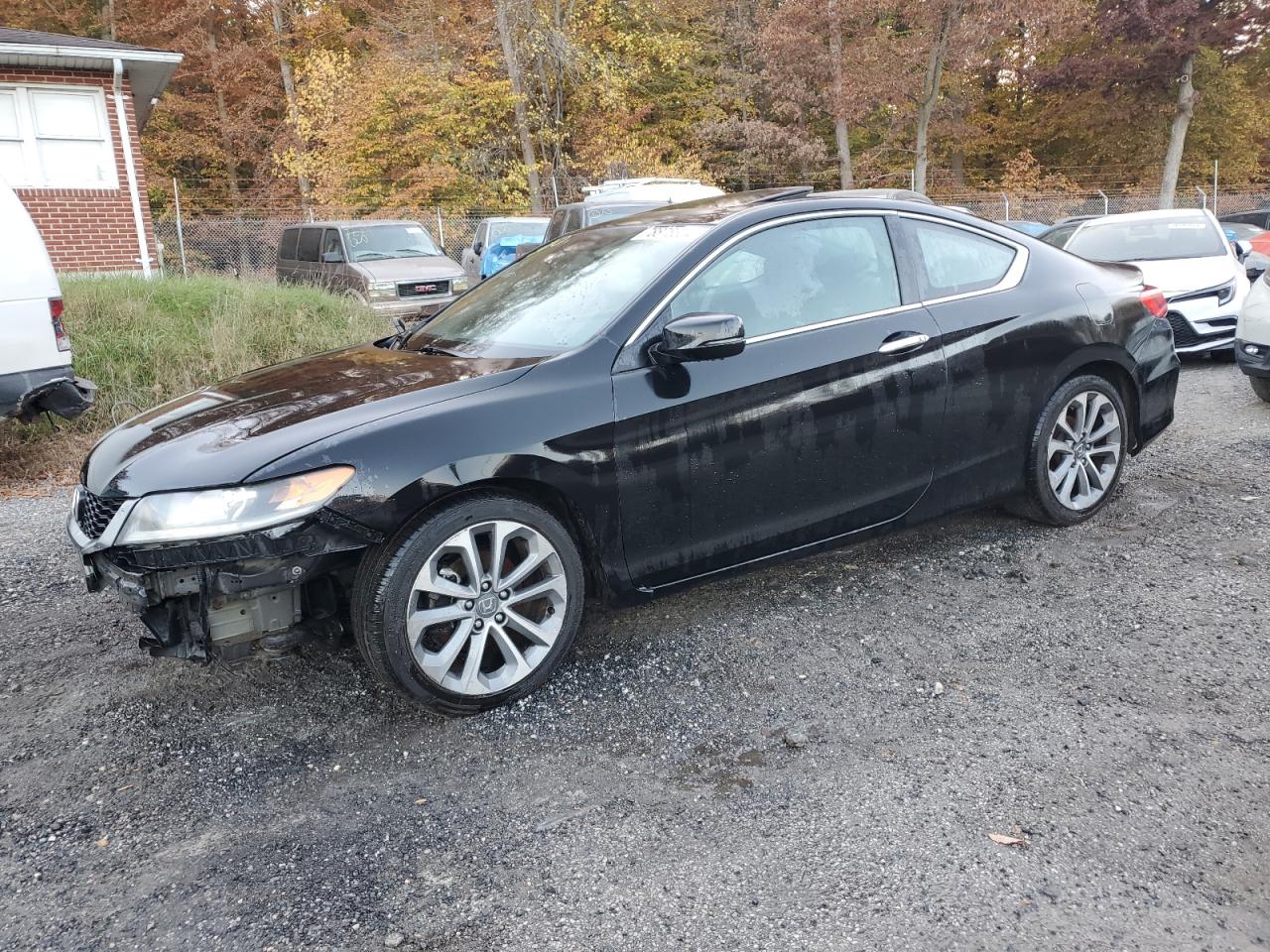 HONDA ACCORD EXL