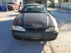 Lot #3006079744 1995 FORD MUSTANG