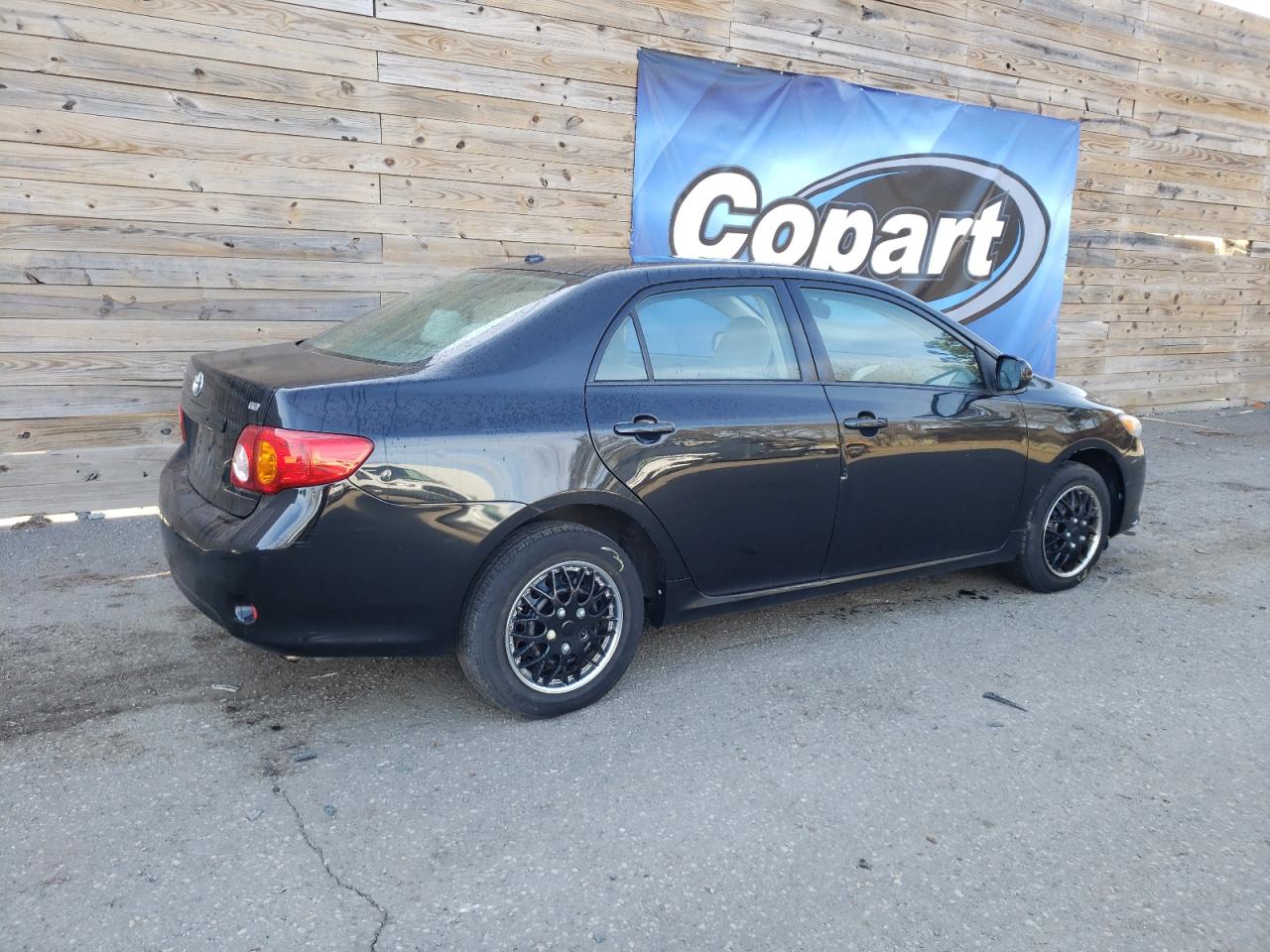 Lot #3034295105 2009 TOYOTA COROLLA BA