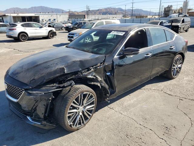 2023 CADILLAC CT5 PREMIU #3034398131